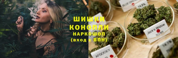 прущие крисы Белокуриха