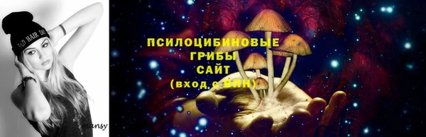 прущие крисы Белокуриха