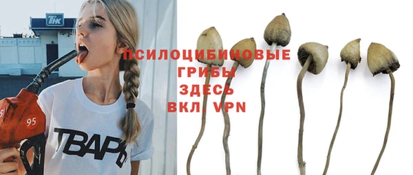 СК Беломорск