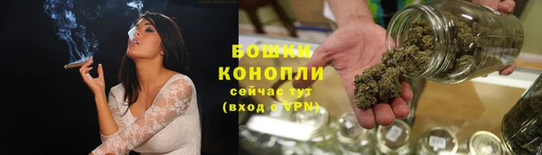 прущие крисы Белокуриха