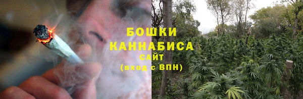 прущие крисы Белокуриха